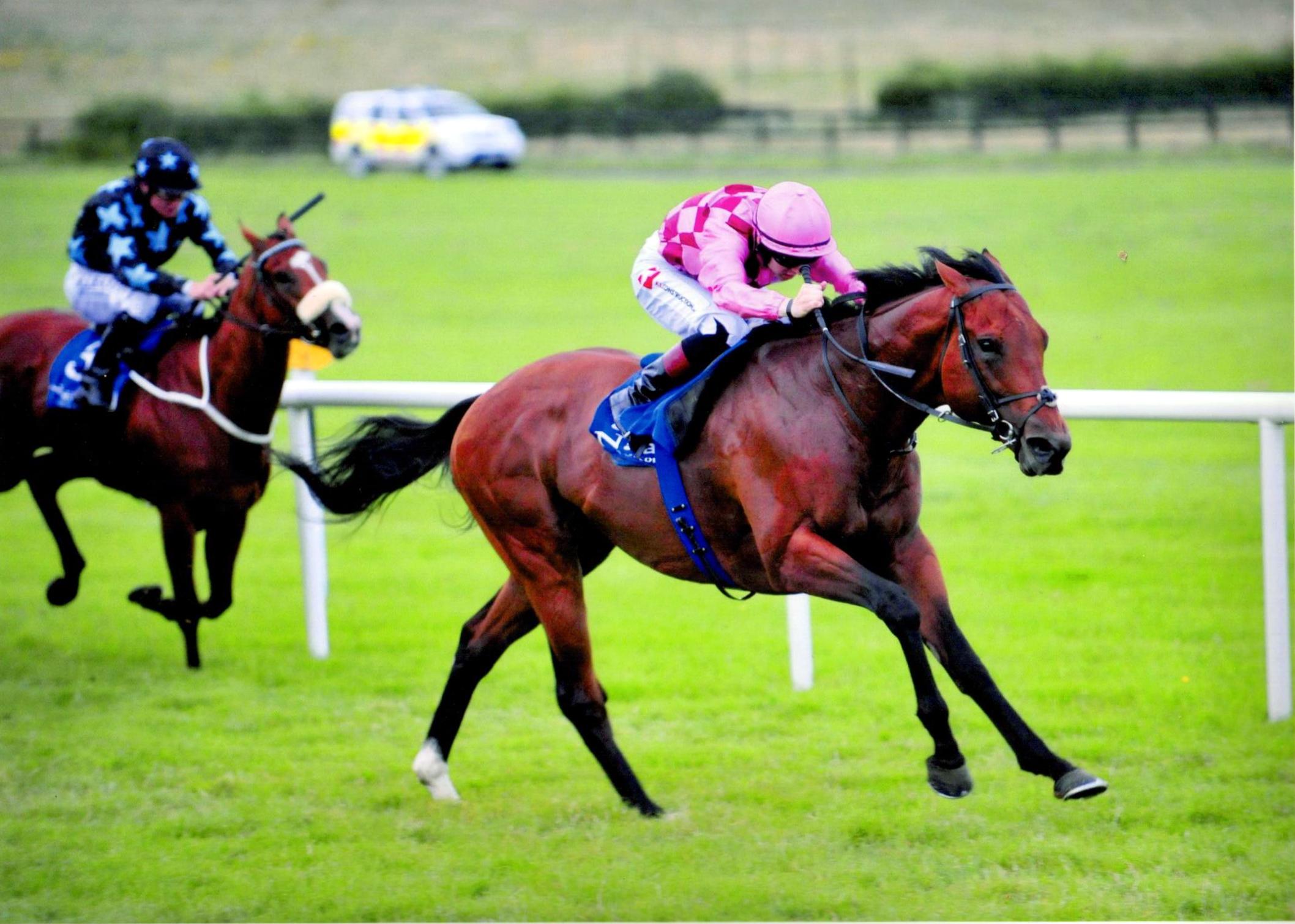 ENDLESS DRAMA impresses in winners race at Naas 13th July 2016